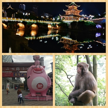 大合影