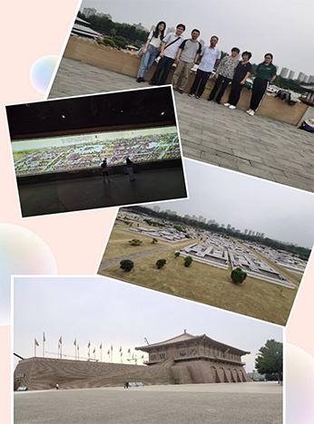 自由行队 1/2